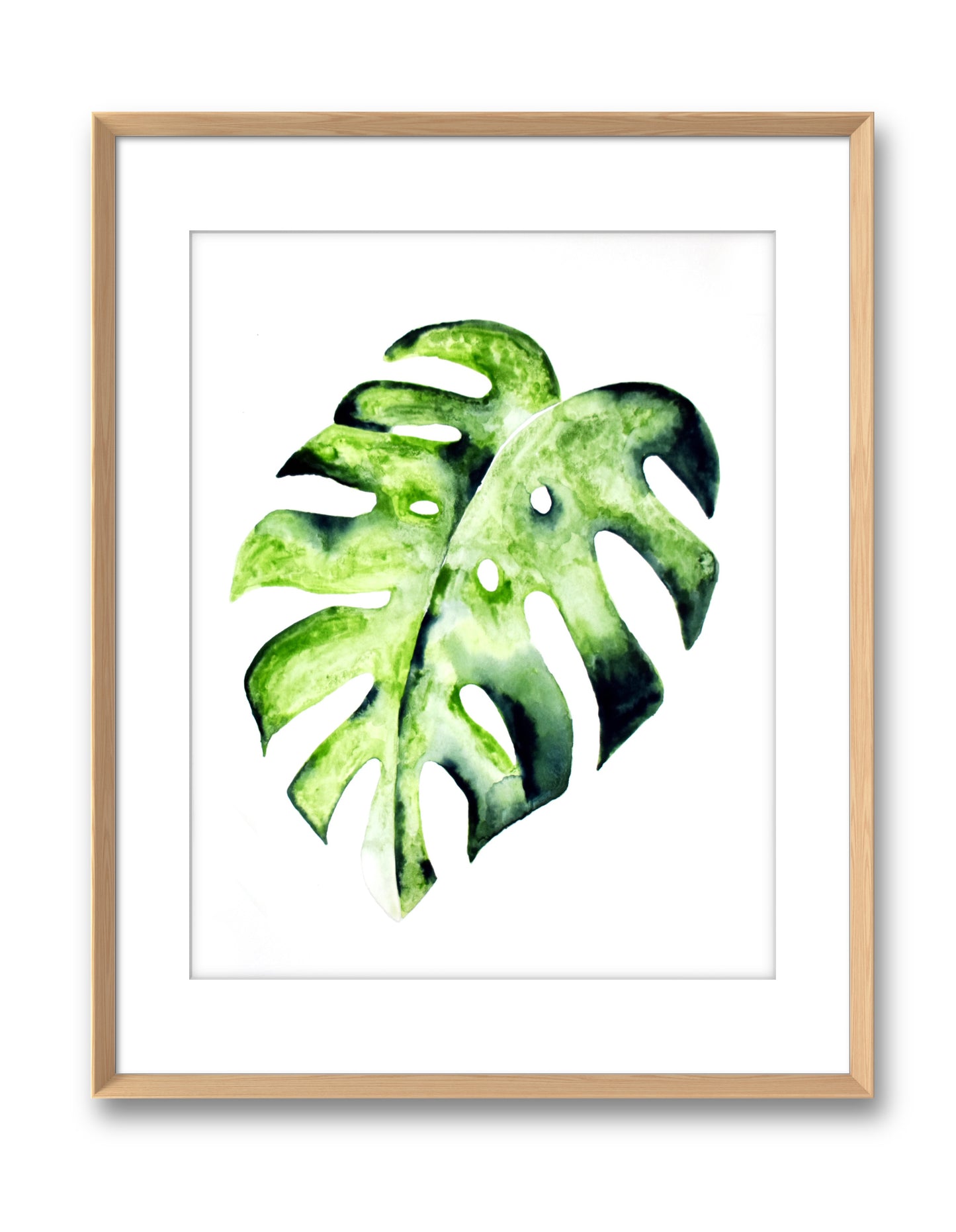 Monstera